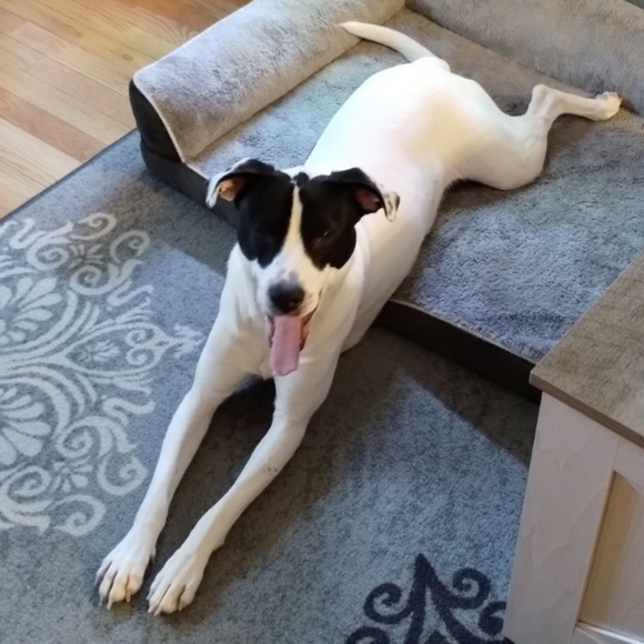 Meet your Posher, Somer - Picture 2 of 6